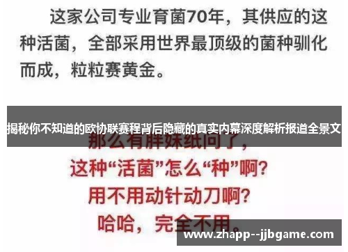 揭秘你不知道的欧协联赛程背后隐藏的真实内幕深度解析报道全景文 揭秘你不知道的欧协联赛程背后隐藏的真实内幕深度解析报道全景文